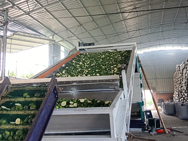 云南当归网带式烘干机生产厂家 四川西部大旗干燥设备供应