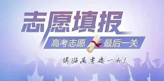 洛江区艺考志愿填报咨询 福建省优颂教育咨询供应