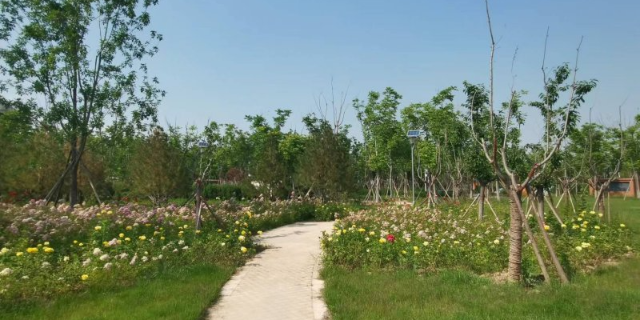 安徽庭院园林景观规划,园林景观