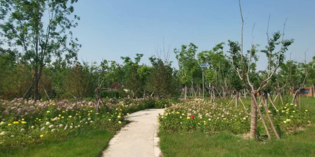 江西庭院园林景观哪家好,园林景观