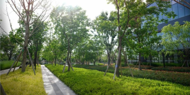 奉贤区市政园林绿化案例