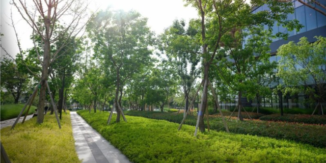金山區花園園林綠化設計 來電咨詢 上海古地景觀規劃設計供應