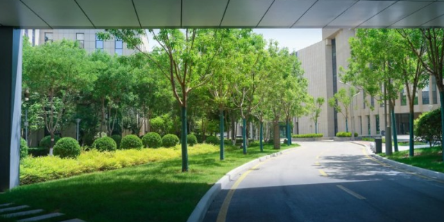 徐匯區(qū)辦公園林綠化一體化 來(lái)電咨詢 上海古地景觀規(guī)劃設(shè)計(jì)供應(yīng)