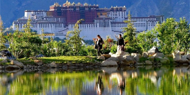 长安区文旅园林绿化售后服务 真诚推荐 上海古地景观规划设计供应;