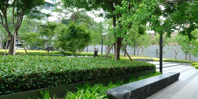 西安办公园林绿化图片,园林绿化