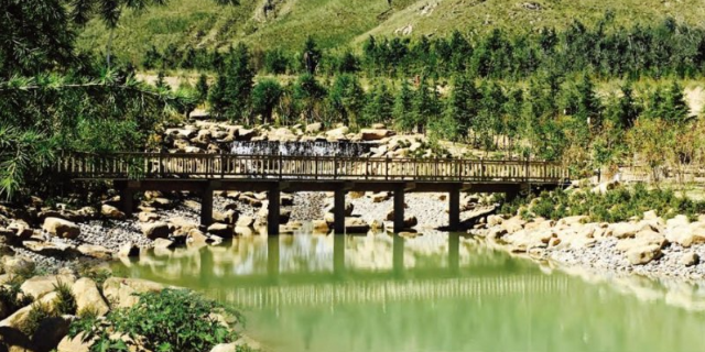 崇明區(qū)園區(qū)園林綠化類型 貼心服務(wù) 上海古地景觀規(guī)劃設(shè)計(jì)供應(yīng)
