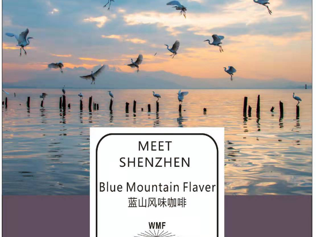 深圳手沖ETHIO COFFEE掛耳咖啡泡多久 誠信為本 深圳市天富泰投資供應(yīng)