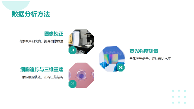 江蘇附近倒置顯微鏡使用方法,倒置顯微鏡