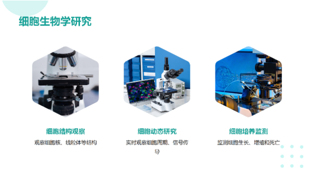 廣西通用倒置顯微鏡種類(lèi),倒置顯微鏡