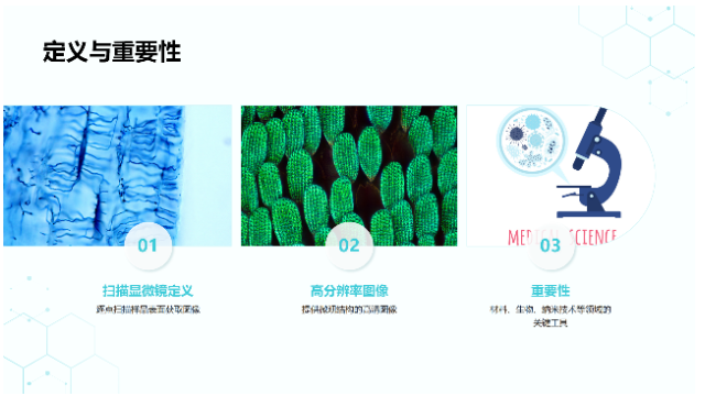 河北哪里有扫描显微镜供应商家,扫描显微镜