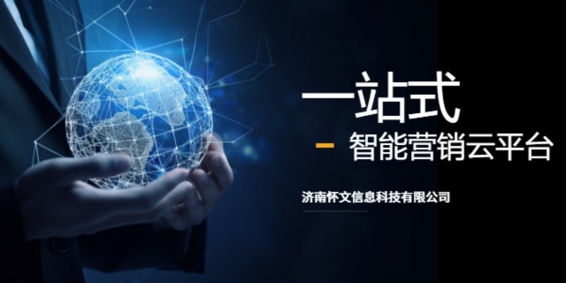 山东智能化网站搭建平台 济南珍云信息科技供应