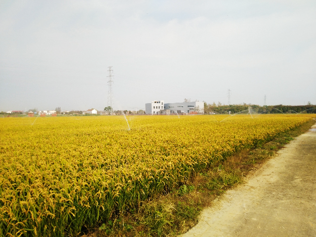 贵州影响高标准农田,高标准农田