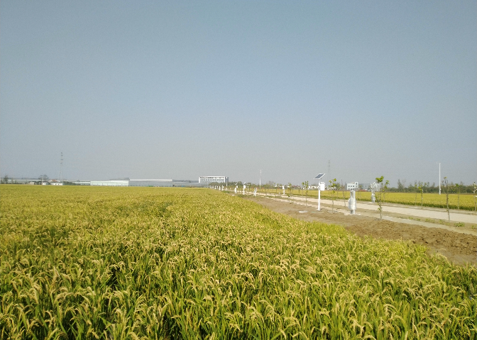 贵州高标准农田生长环境 欢迎来电 南京万宏测控供应