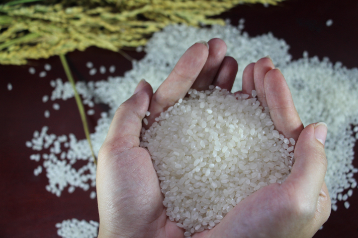 杨浦区绿色大米运输 上海瑞佳米业供应