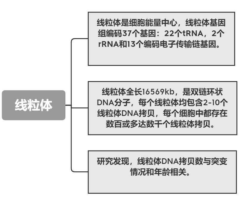 線粒體拷貝變異數(shù)檢測(cè)