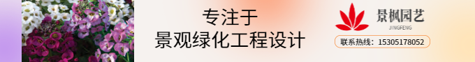 室內外設計布置
