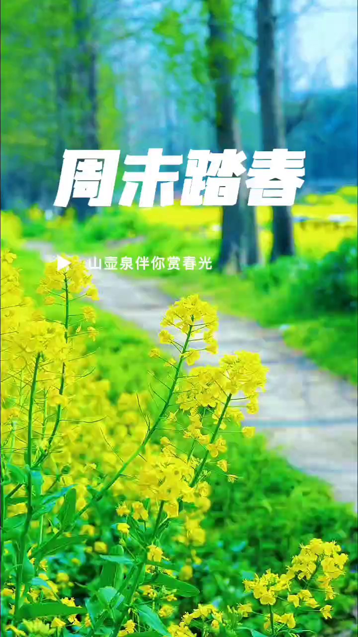 扬州 乡镇瓶装水配送公司,瓶装水