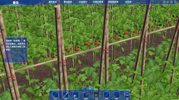 农业栽培虚拟仿真实训系统