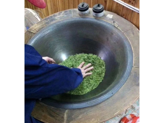 浙江春曉九天岙綠茶批發 歡迎來電 寧波平頂杉茶業供應