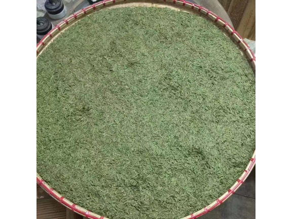 金华绿茶的功效和作用