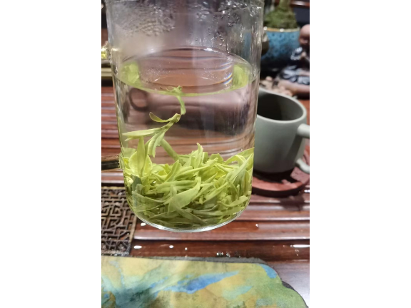温州孕妇可以喝绿茶吗,绿茶