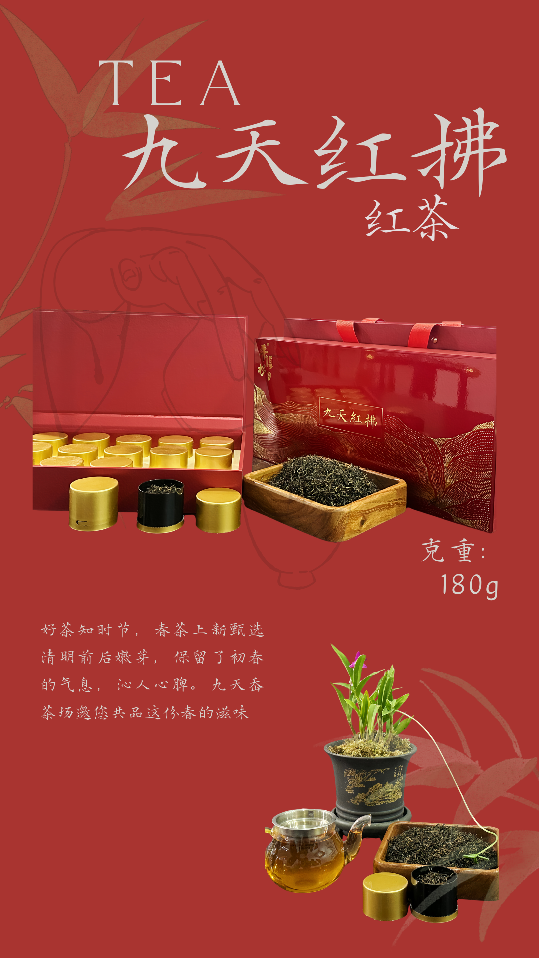 九天紅拂