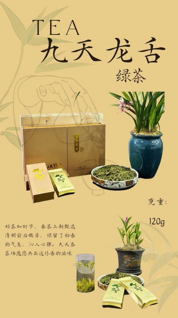九天龍舌