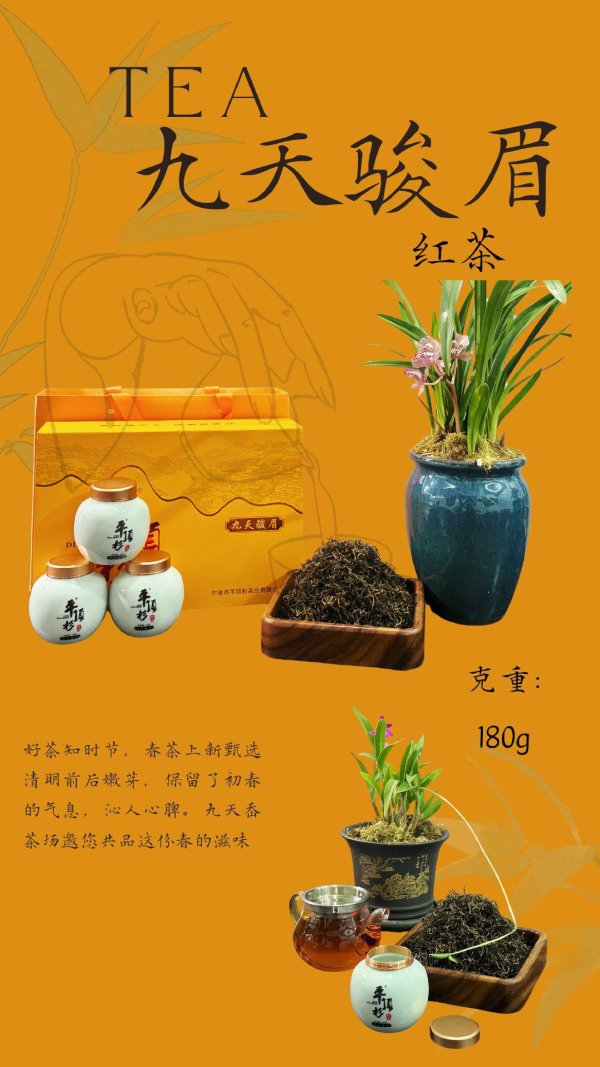 平頂杉九天駿眉
