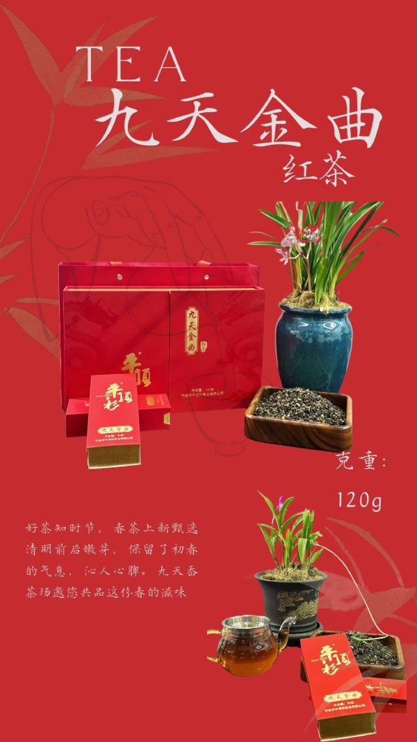 平頂杉九天金曲