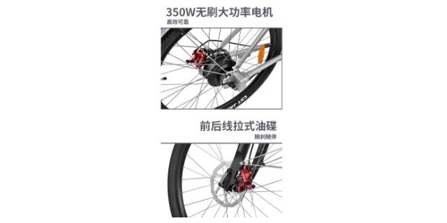 广东无链条轴传动自行车结构