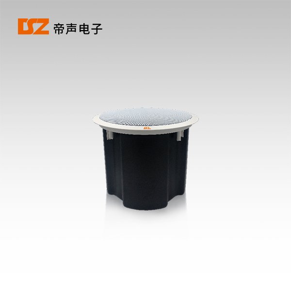 吸頂揚(yáng)聲器DS-200R