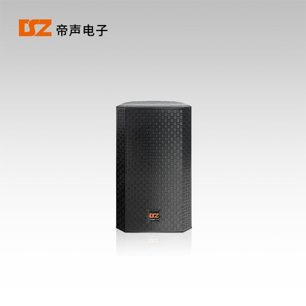 專(zhuān)業(yè)音箱DS-R310、DS-R312、DS-R315
