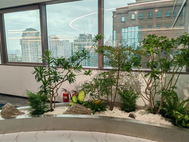 杨浦植物绿化租赁收费标准
