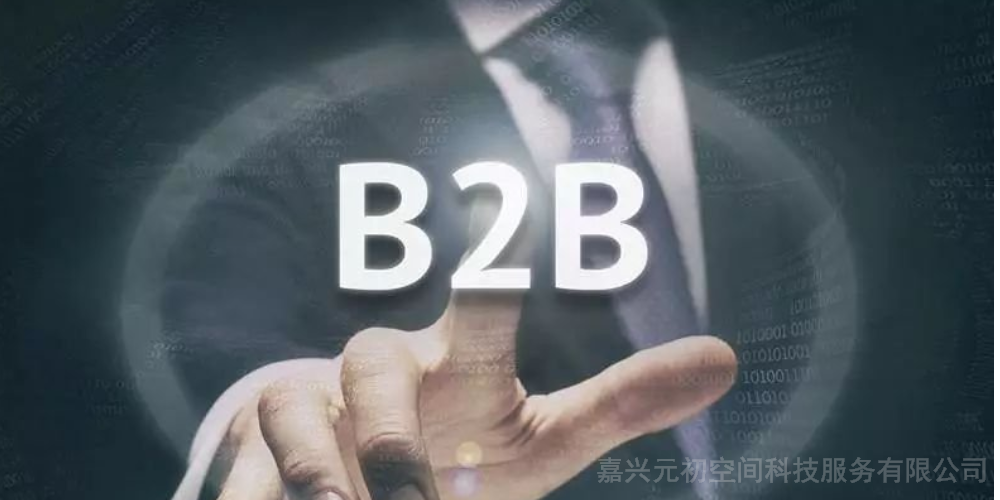 海宁提供B2B平台推广供应商家 创新服务 嘉兴元初空间科技服务供应
