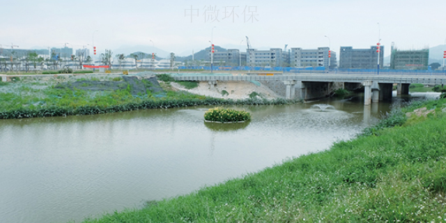 梅州黑臭水体水质提升厂家 广东中微环保生物科技供应