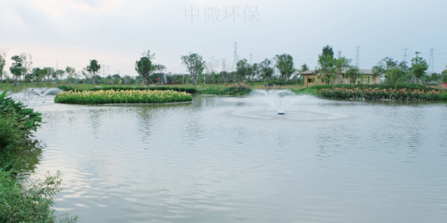 钦州黑臭水体水质提升主要方法 广东中微环保生物科技供应