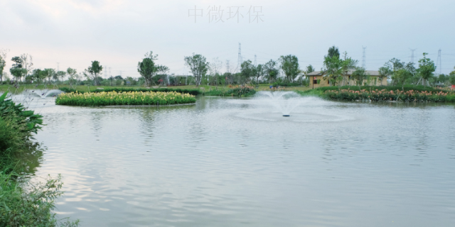 东莞黑臭水体水质提升 广东中微环保生物科技供应