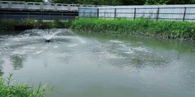 东莞黑臭水体水质提升方案 广东中微环保生物科技供应