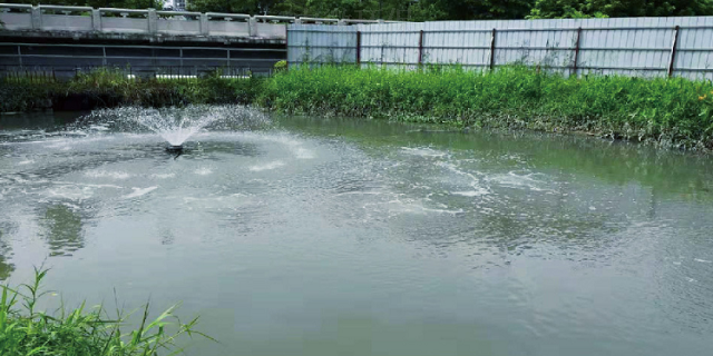 东莞黑臭水体商家 广东中微环保生物科技供应