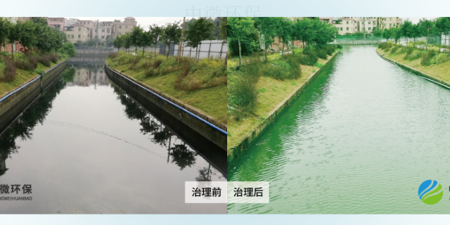 东莞高氨氮废水处理设备 广东中微环保生物科技供应