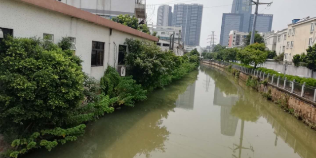 东莞高氨氮废水处理 广东中微环保生物科技供应