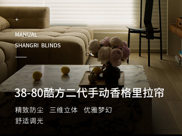 廣州羅馬簾采購 廣州市藝軒窗簾智能遮陽(yáng)產(chǎn)品供應