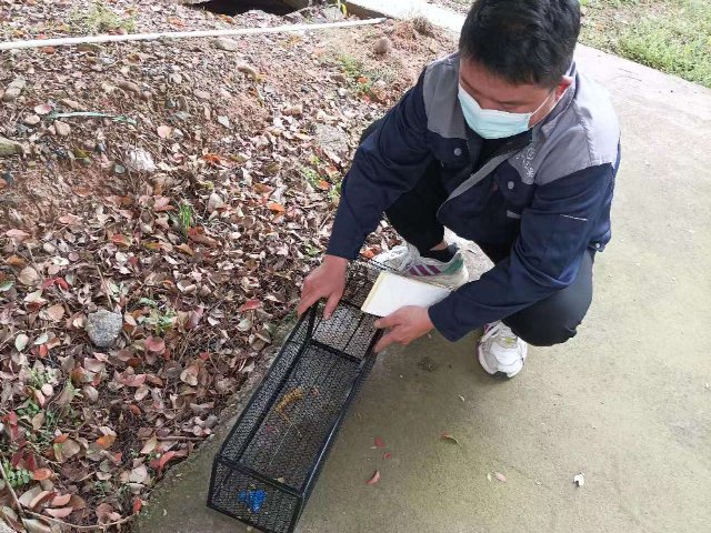 寧波別墅除四害除蟲,除四害