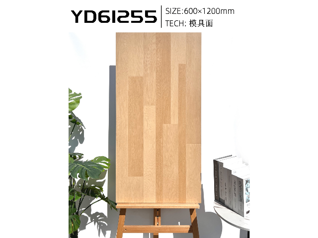 湛江純色亞光磚價(jià)格 佛山市遠(yuǎn)東信源陶瓷供應(yīng)