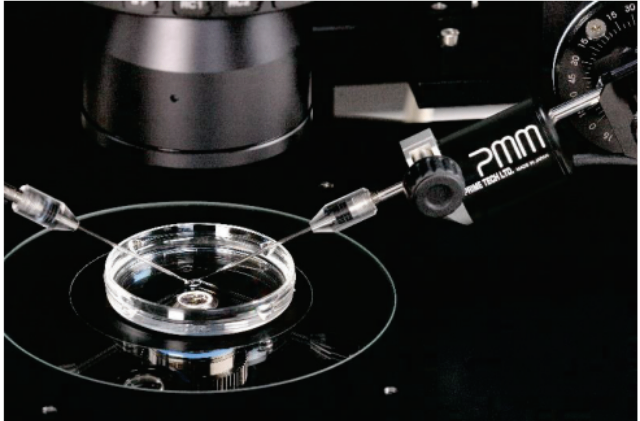 上海Piezo Micro Manipulator壓電PMM 6 上海嵩皓科學儀器供應