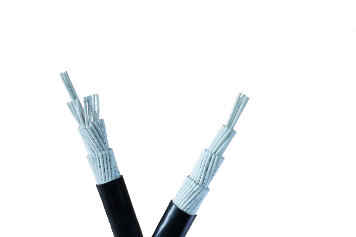 湖南ZA-KVV控制电缆包括什么 诚信服务 杭州全缆电缆科技供应