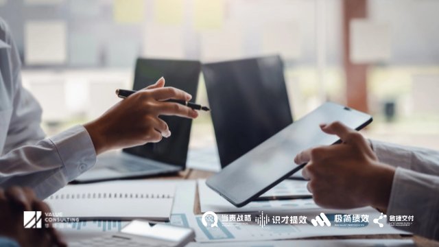 江蘇組織能力管理解決方案 華略（杭州）企業(yè)管理咨詢供應