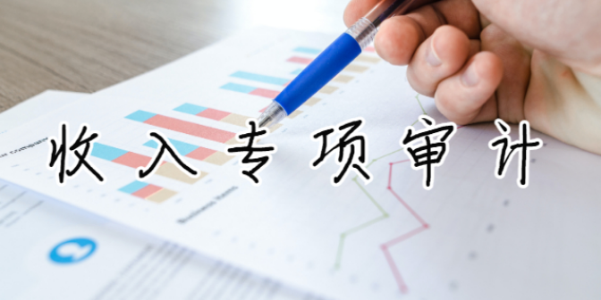 天津外包收入专项审计步骤,收入专项审计
