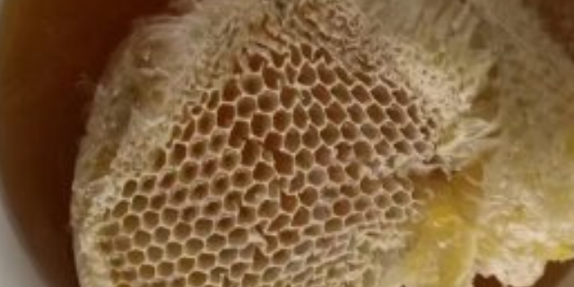 宝坻区名优巨蜂蜂蜜厂家报价,巨蜂蜂蜜