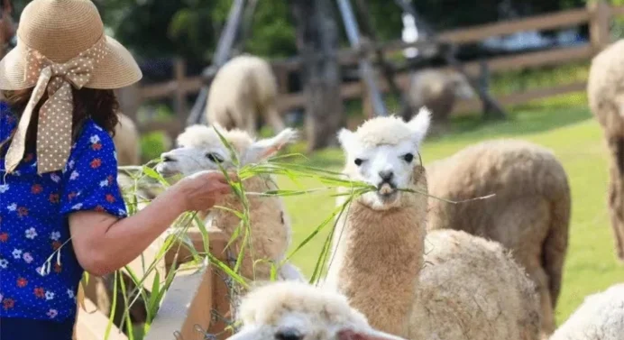 親子萌寵樂園